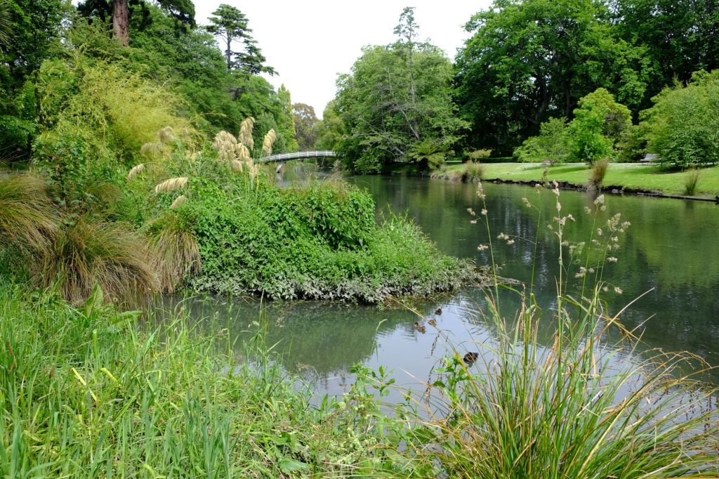 The Avon River running through Hagley Park, Christchurch