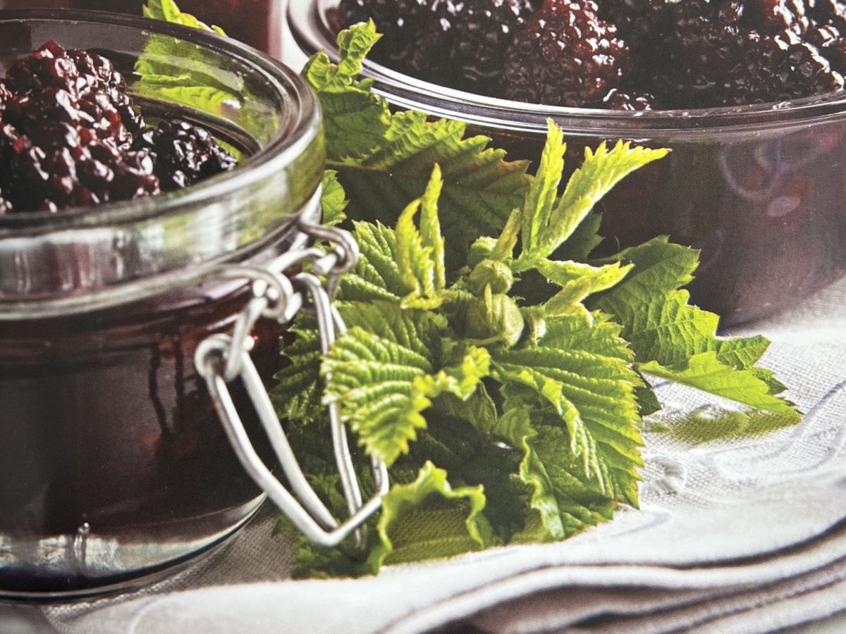Blackberry & Mint Relish