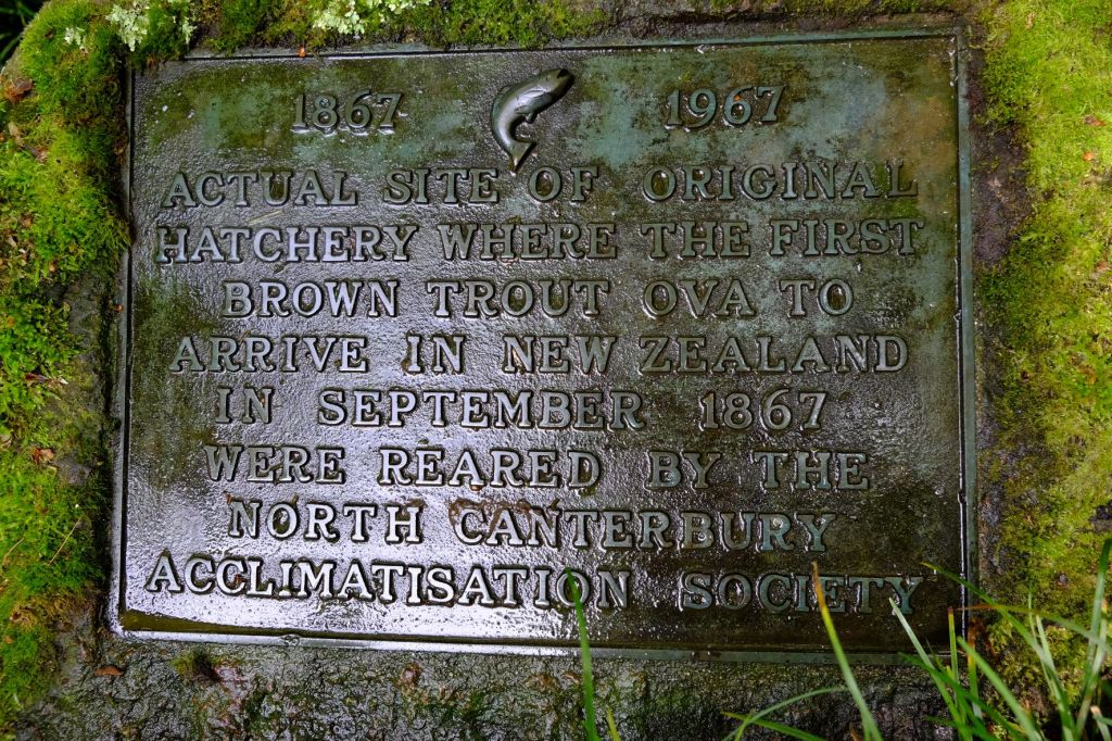 Plaque commemorating the introduction of brown trout into New Zealand