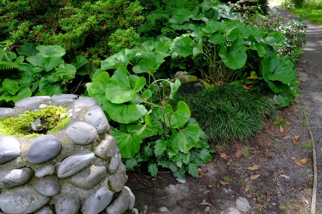 Plaque commemorating the introduction of brown trout into New Zealand - hidden amongst plants