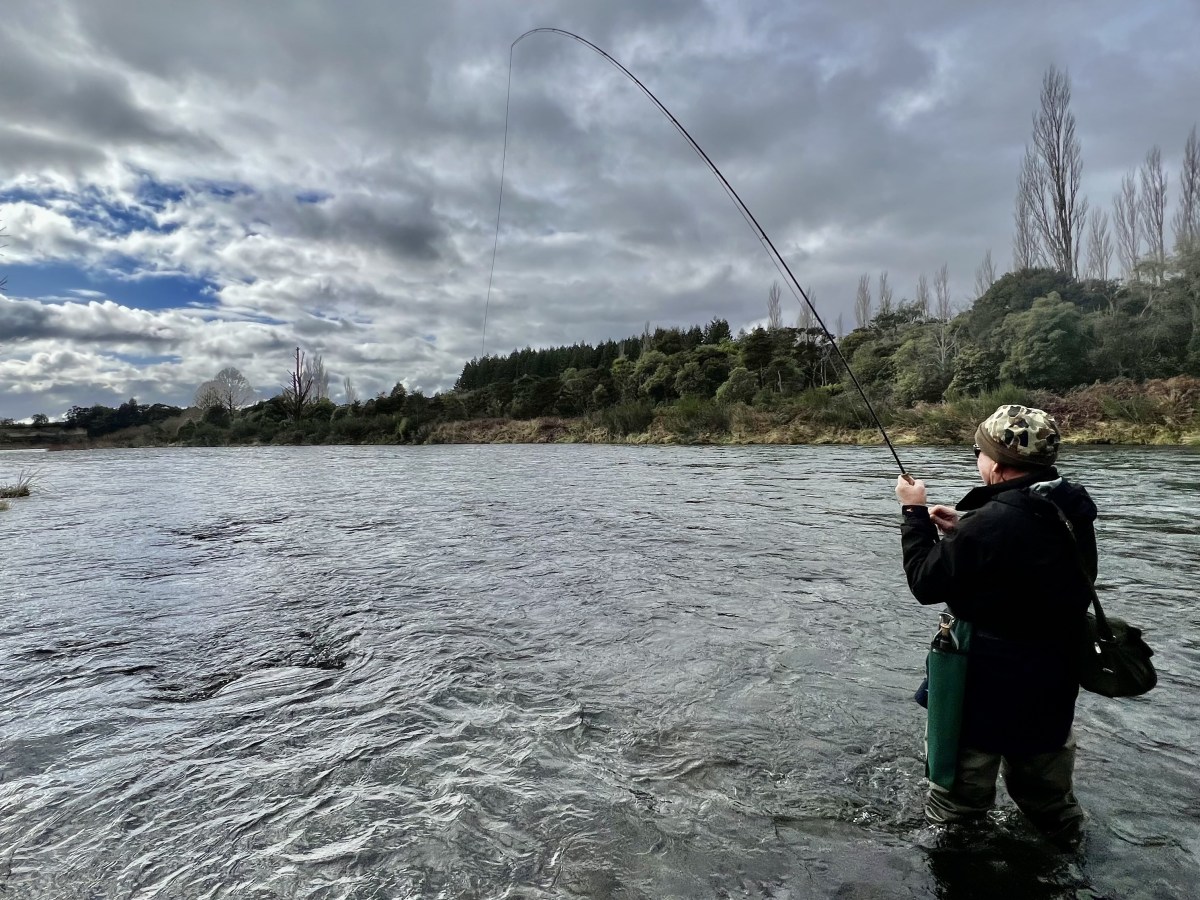 Fishing for Trout – the Strike!