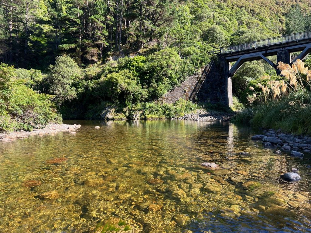 The bridge at Ladle Bend, from the Pakuratahi River
