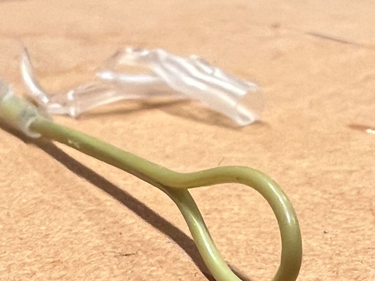 Adding a new welded loop for $2.50