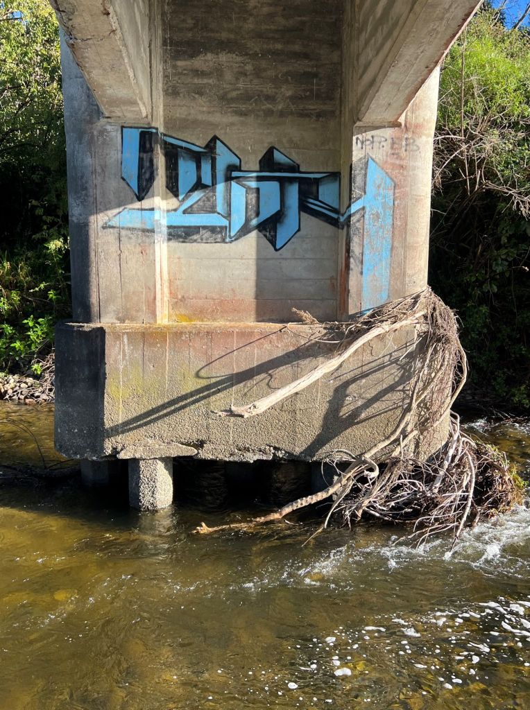 Graffiti on a river bridge pylon, Pakuratahi River, Upper Hutt, New Zealand