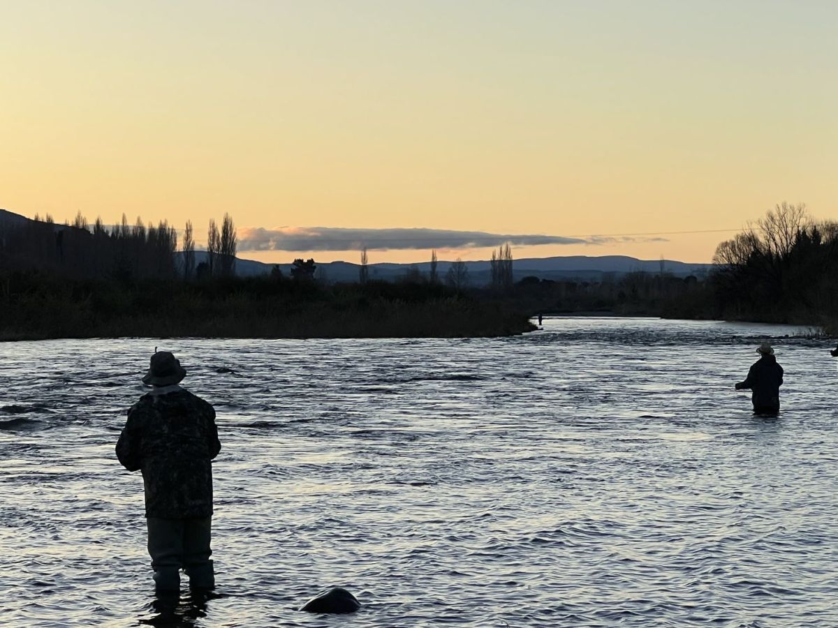 You Snooze, You Lose