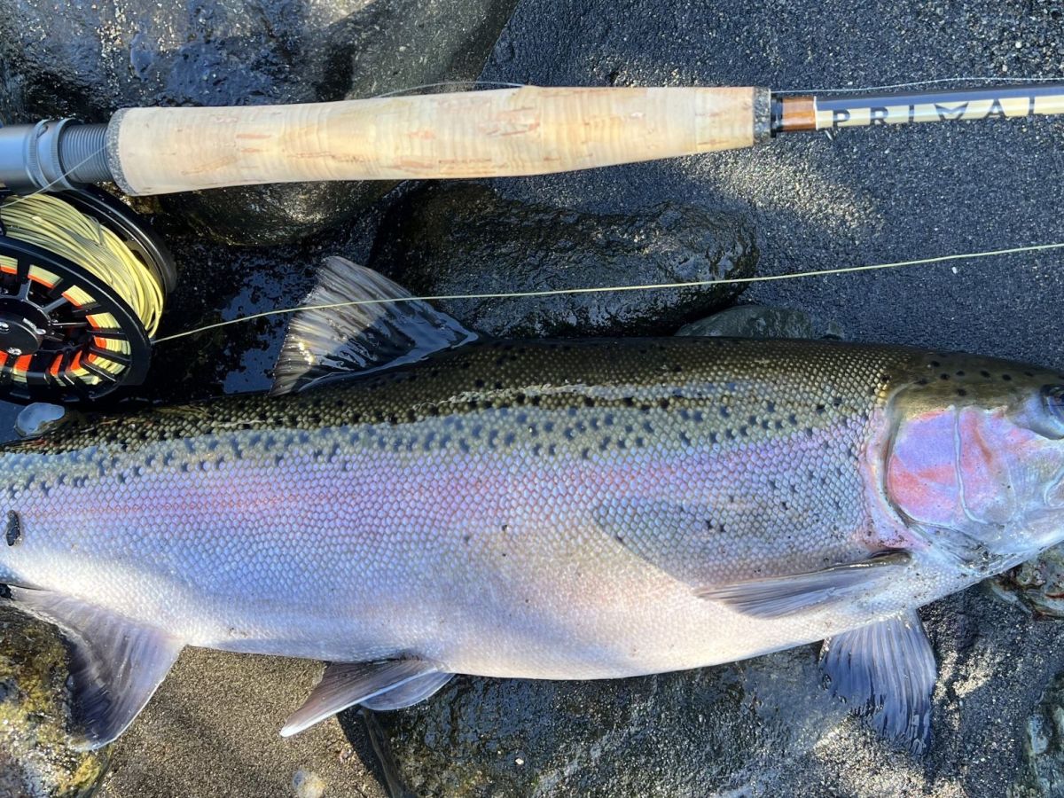 Old Dog, New Tricks – Euro Nymphing the Tongariro River