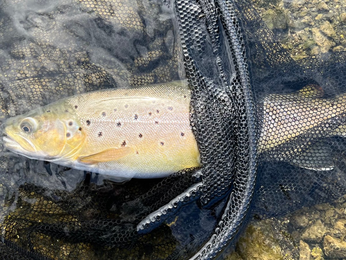 Riverside lies and deceit