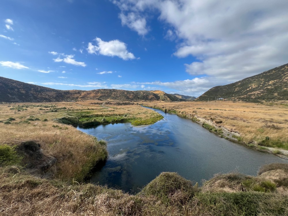Looking upstream from the lower reaches of the Wainuiomata river